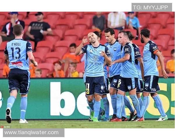 纽卡斯尔喷射机迎战悉尼FC力争主场胜利展现球队实力 纽卡斯尔喷射机迎战悉尼FC力争主场胜利展现球队实力